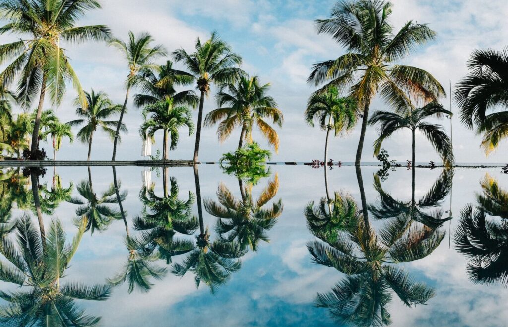 The Caribbean