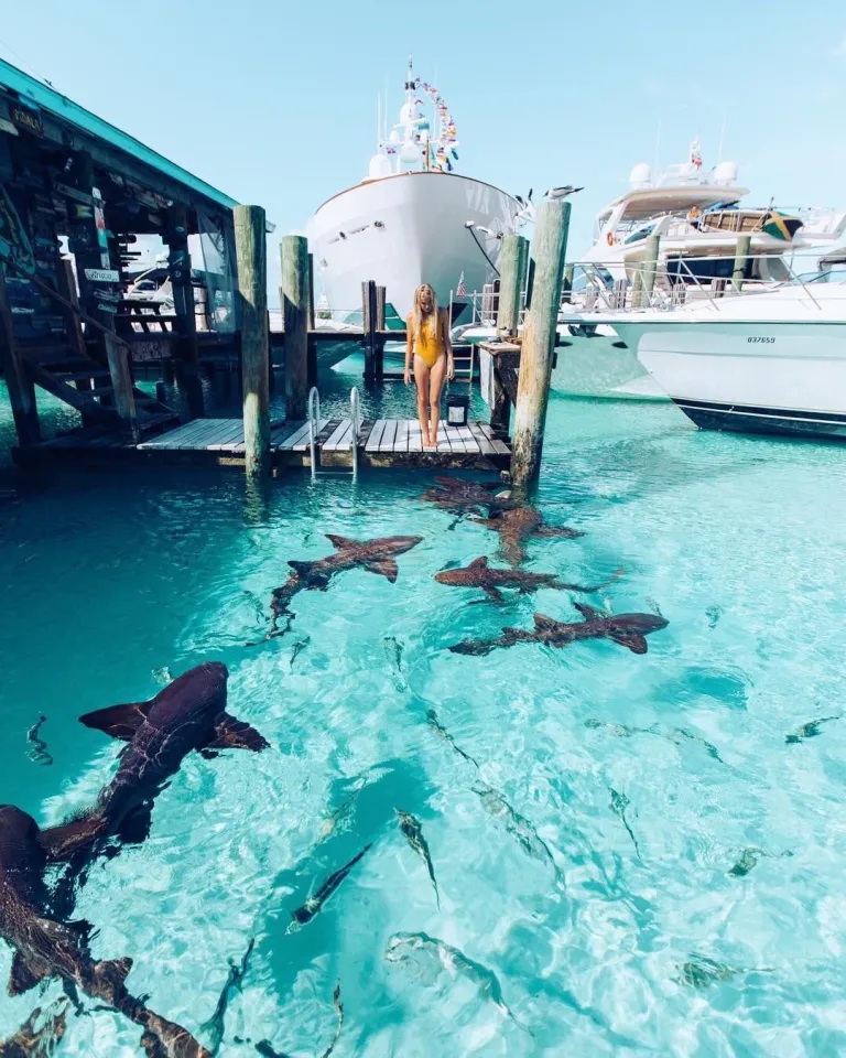 Bahamas & The Exumas