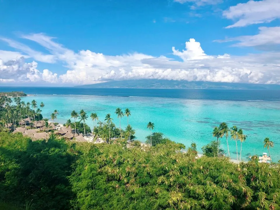 Exotic Escapes