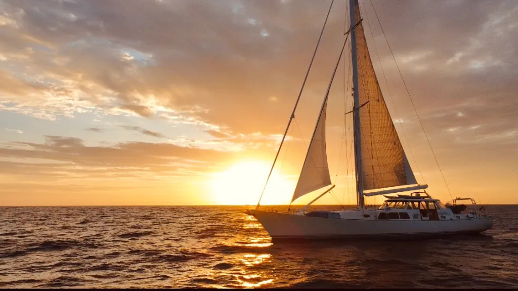 Ideal platform for sea vacation!