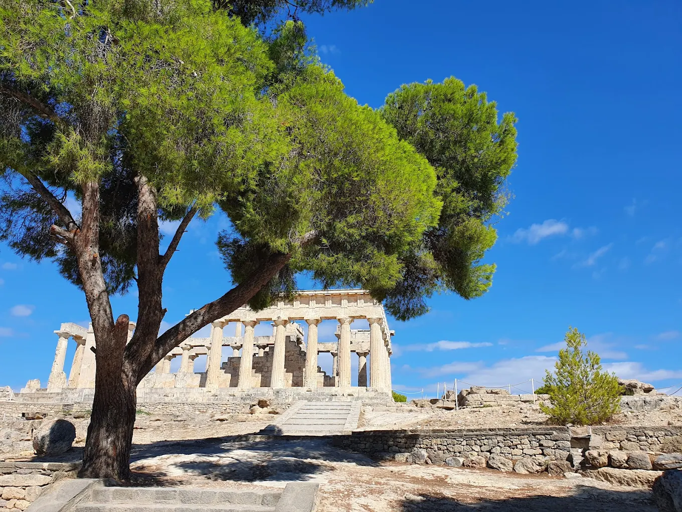 Day 7: Pistachio Groves and Temple Pillars