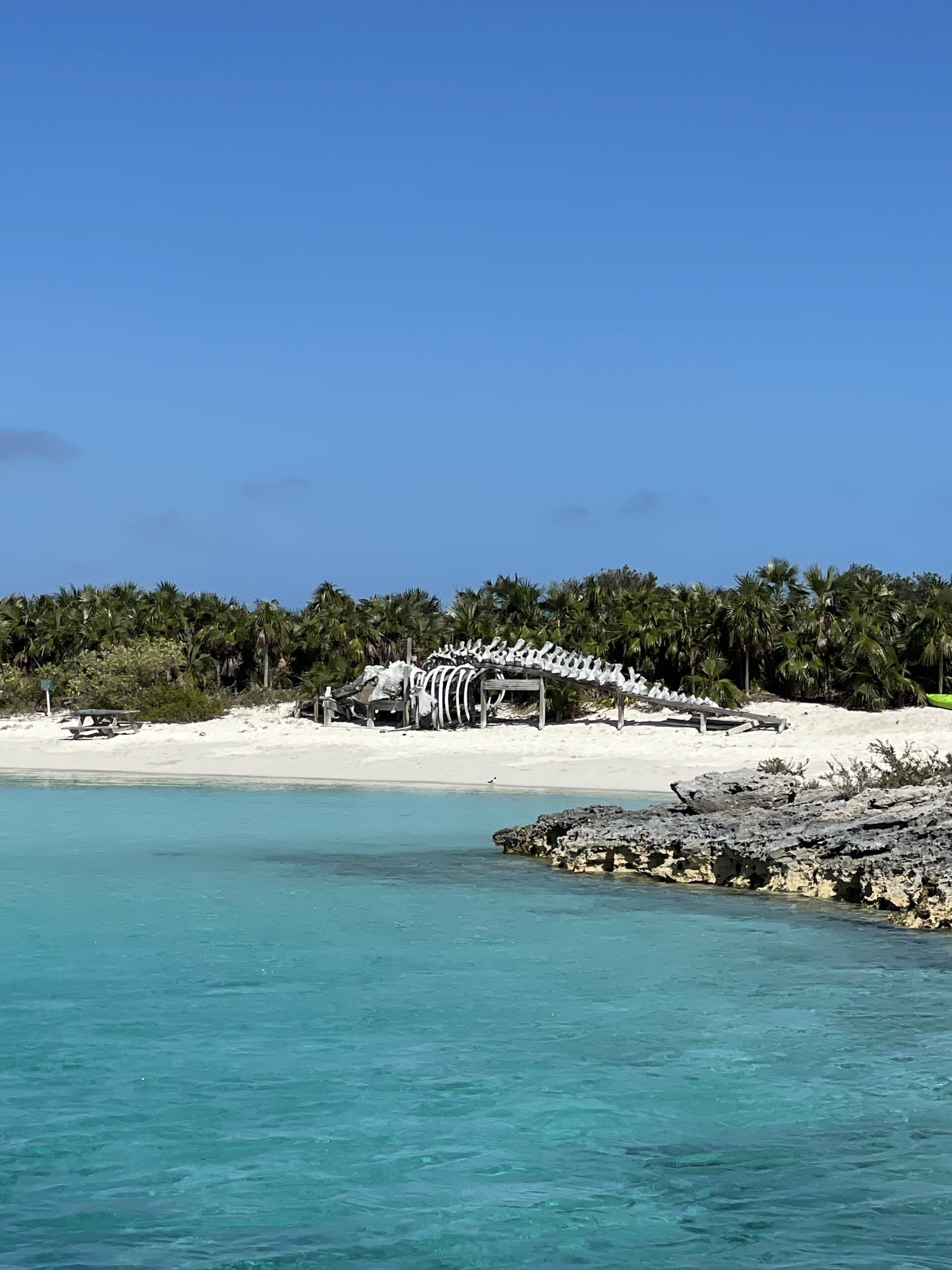 Day 5: Sanctuary of the Silent Sea