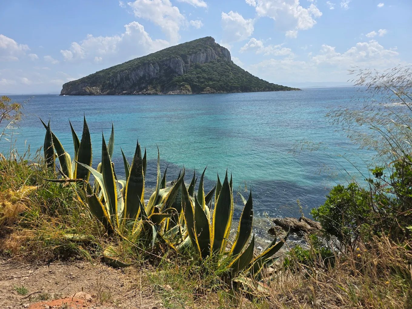 Day 1: Olbia to Porto Rotondo | 19nm