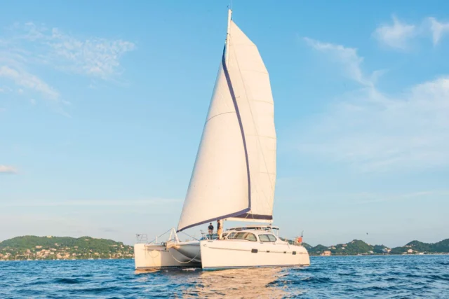 LADY MARIGOT