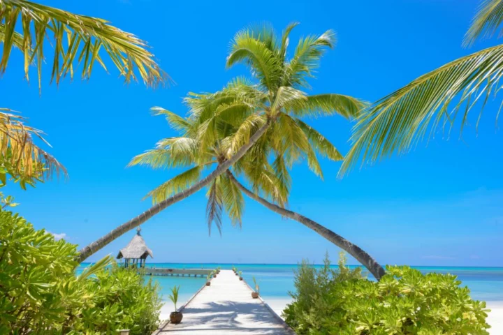 Bahamas Luxury Yacht Charters