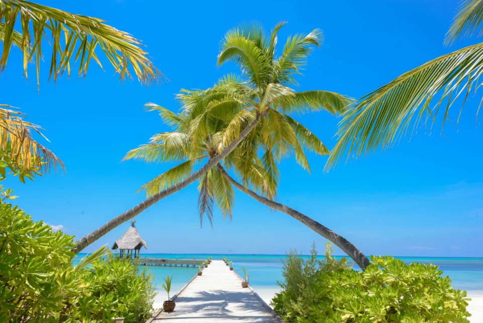 A Masterclass in Tropical Serenity — From Swimming Pigs to Sunken Wonders
