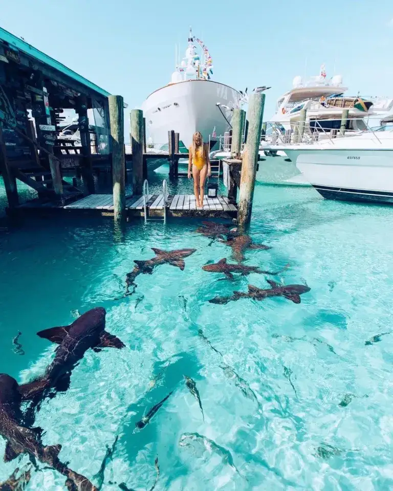 Embark on Your Bahamian Journey with Ease