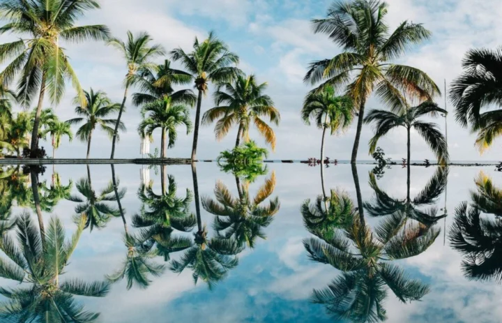 The Caribbean