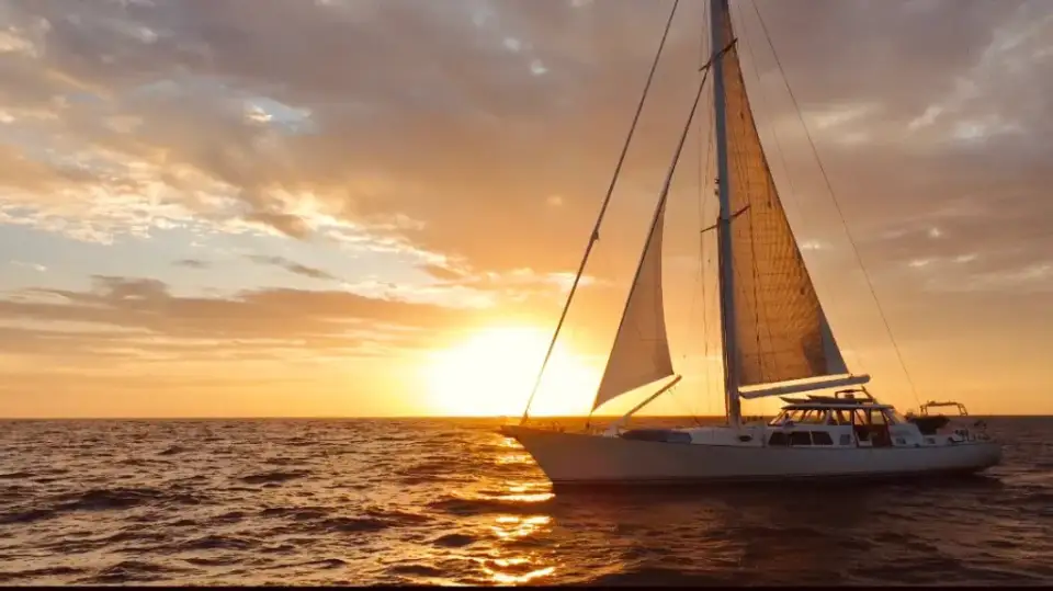 Ideal platform for sea vacation!